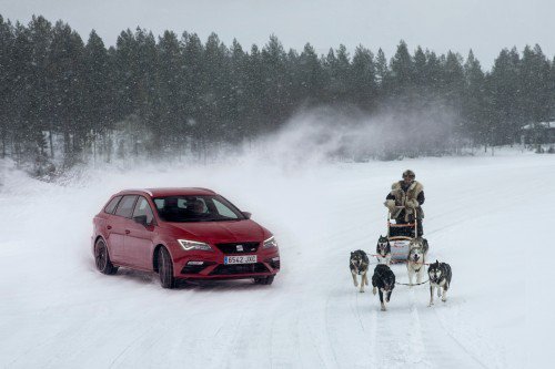 Can Six Huskies Outrun the 300 HP SEAT Leon Cupra?