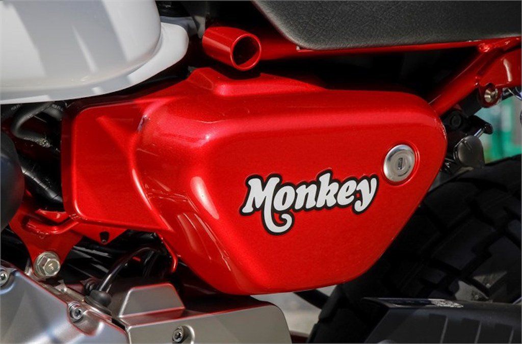 honda monkey rear fender delete
