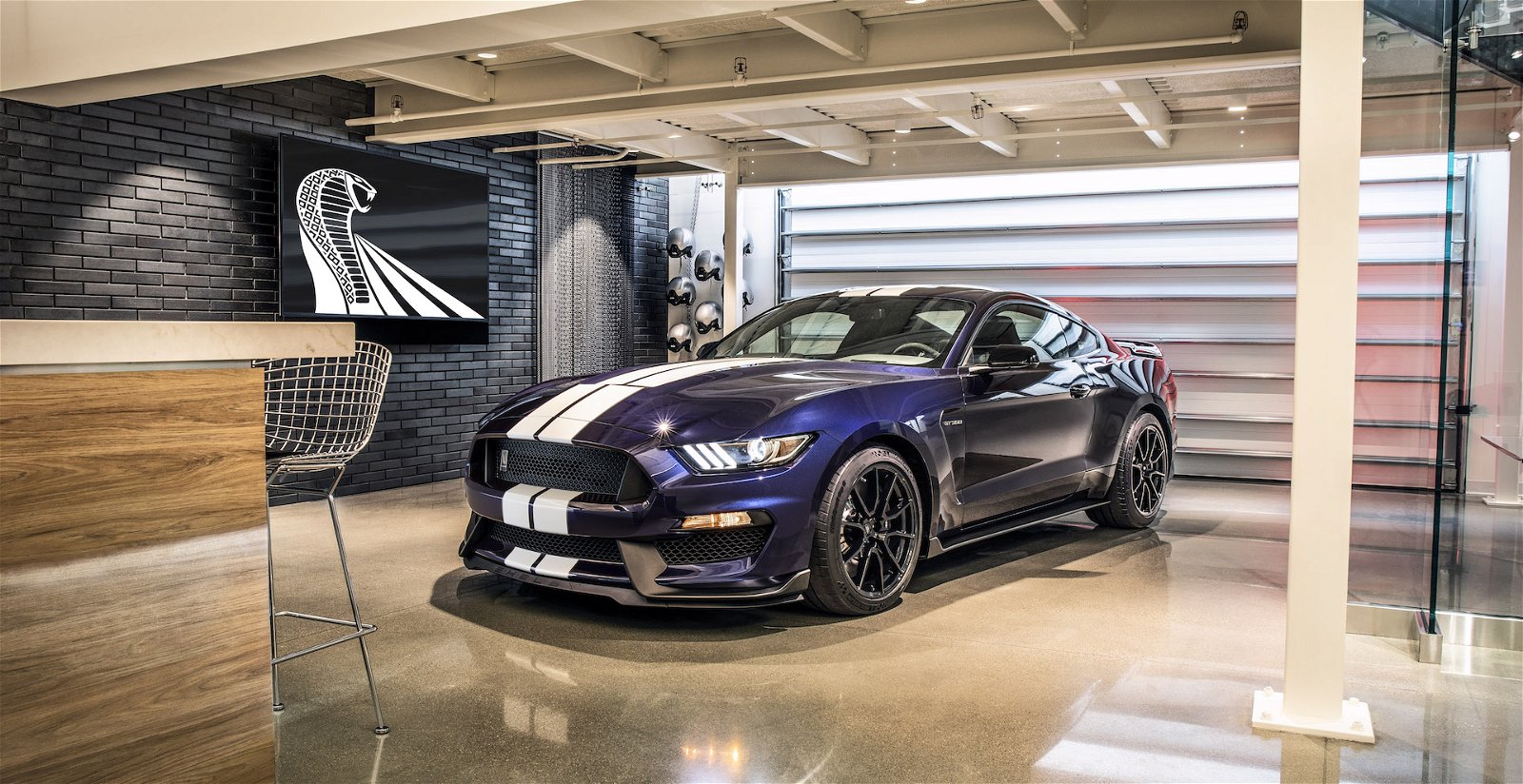 2019 mustang shelby gt350 11