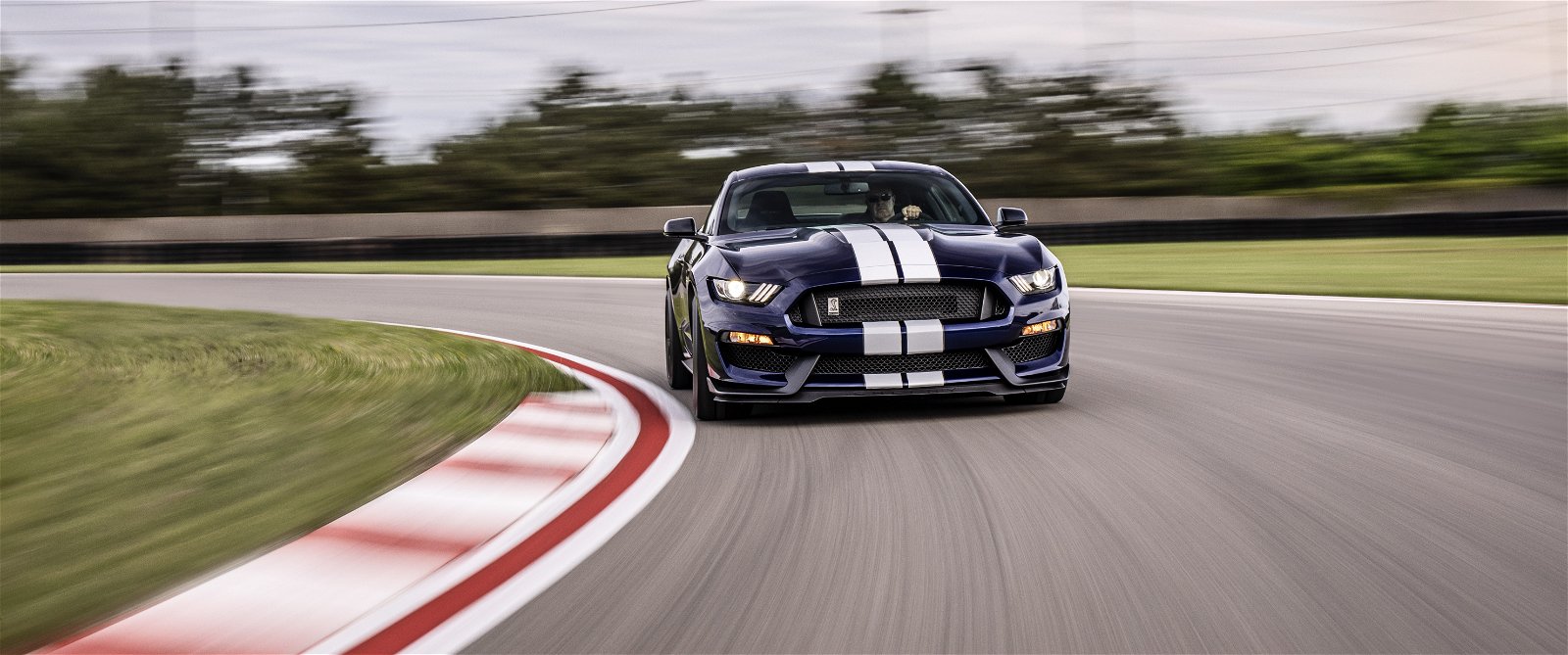 2019 mustang shelby gt350 3