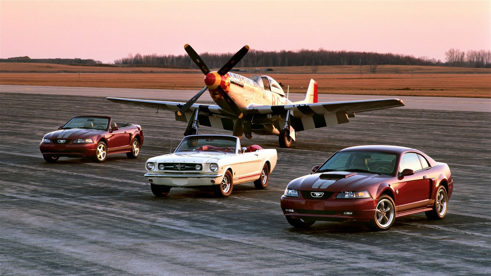 2004-Ford-Mustang-Anniversary-edition-and-1965-Mustang-with-P-51
