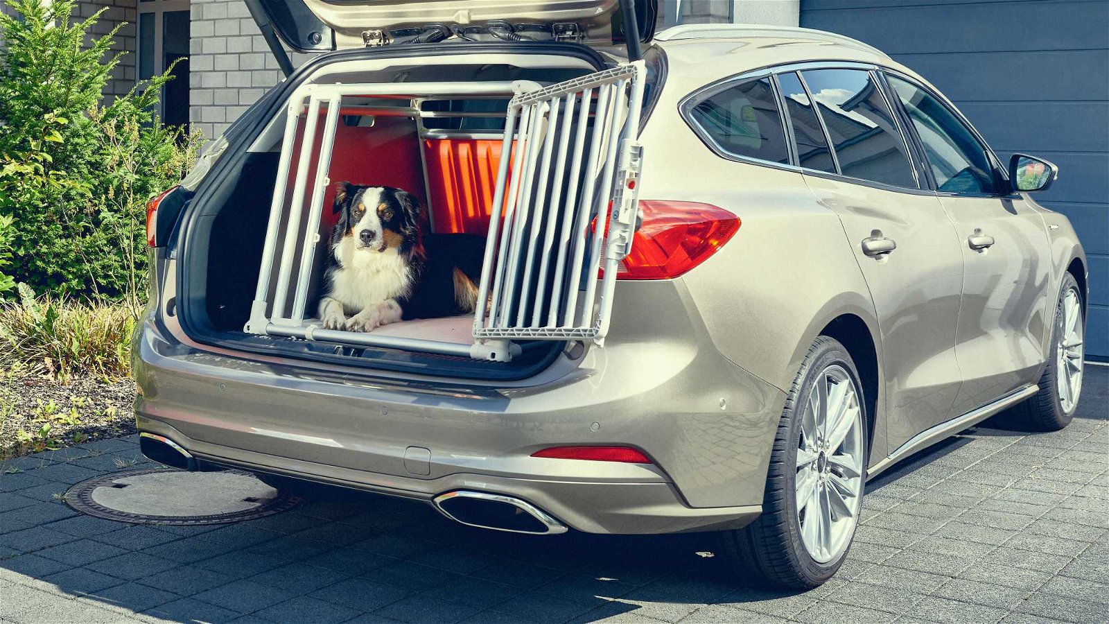 ford-focus-dog-crate 3